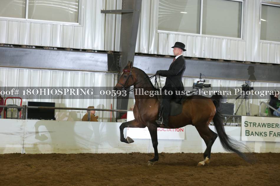 Proof 18OHIOSPRING_00593