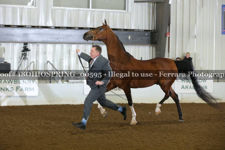 Proof 18OHIOSPRING_00595