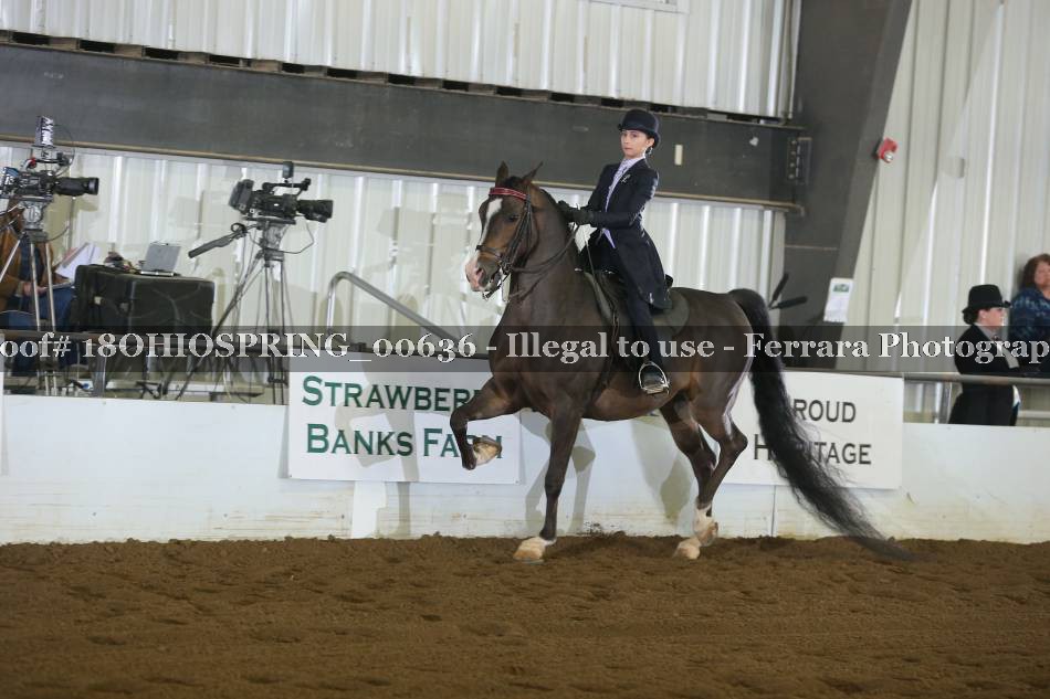 Proof 18OHIOSPRING_00636