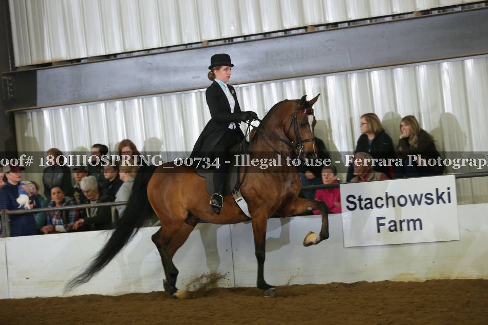 Proof 18OHIOSPRING_00734