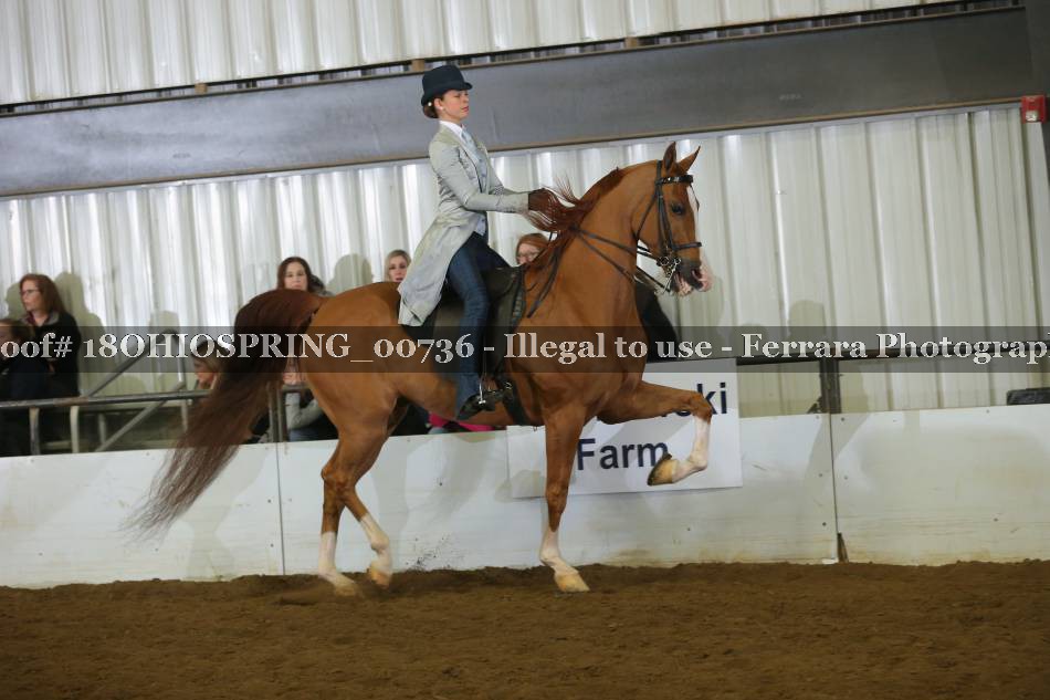Proof 18OHIOSPRING_00736