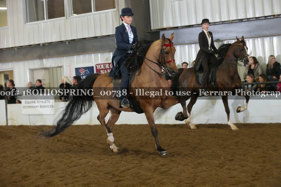 Proof 18OHIOSPRING_00738