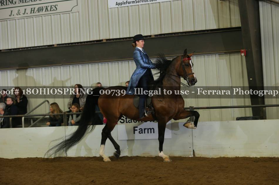 Proof 18OHIOSPRING_00739
