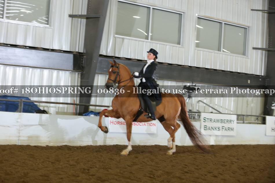 Proof 18OHIOSPRING_00836