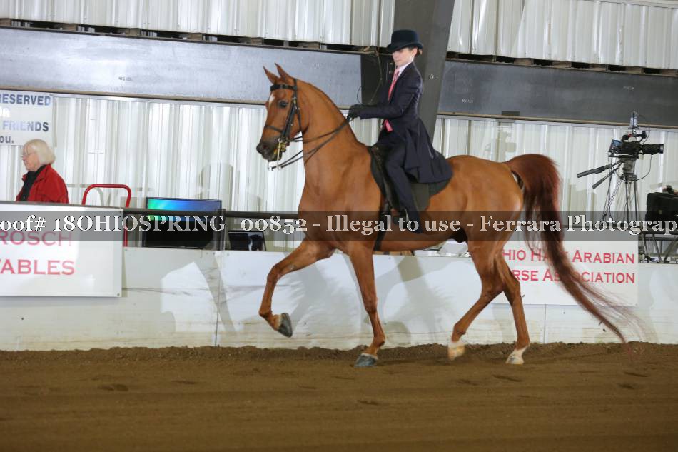 Proof 18OHIOSPRING_00852