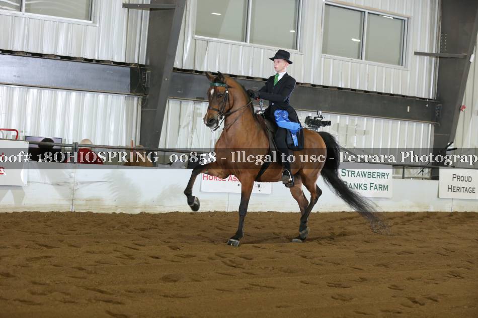 Proof 18OHIOSPRING_00858