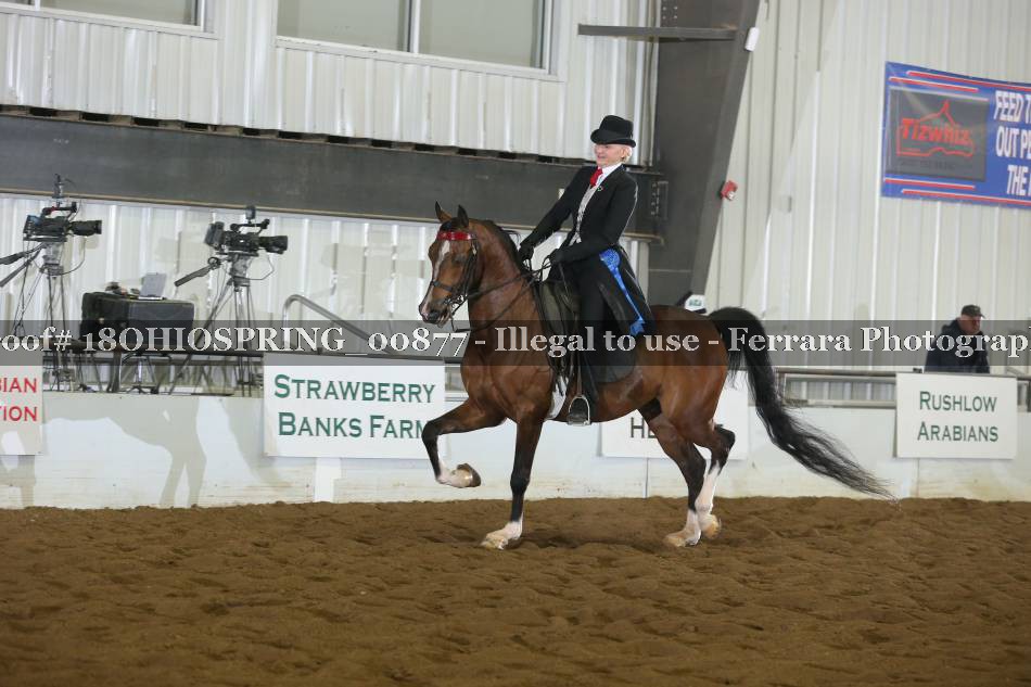 Proof 18OHIOSPRING_00877