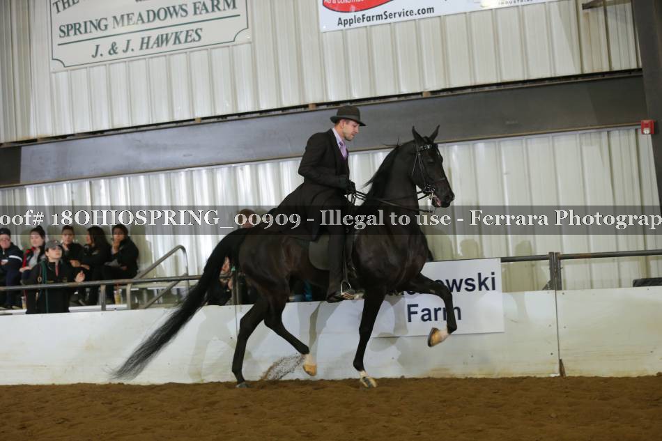 Proof 18OHIOSPRING_00909