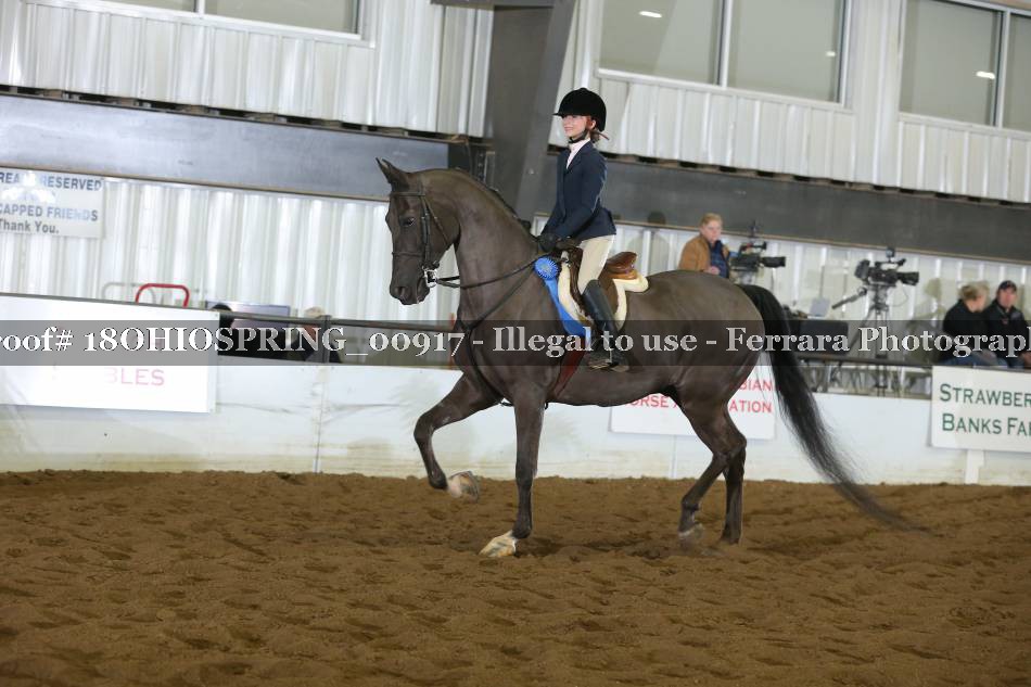 Proof 18OHIOSPRING_00917