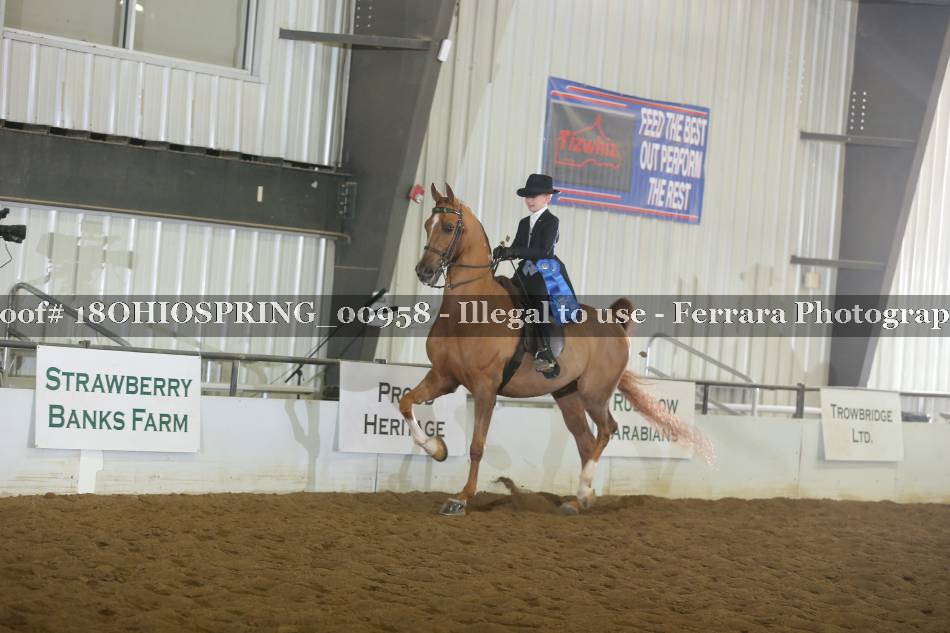 Proof 18OHIOSPRING_00958