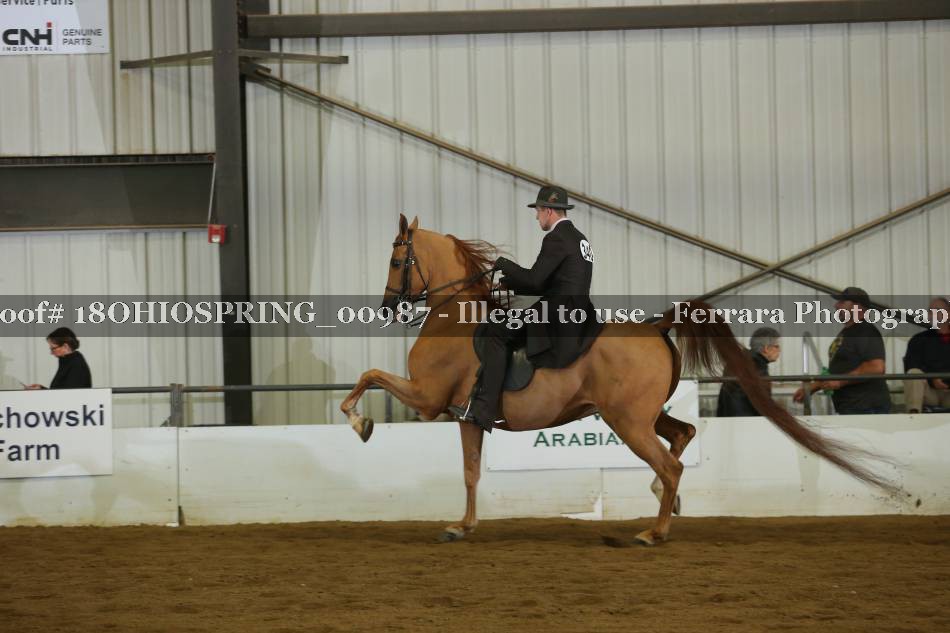 Proof 18OHIOSPRING_00987