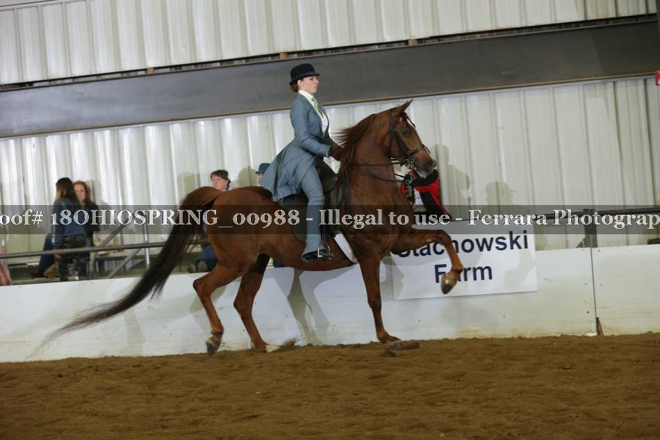 Proof 18OHIOSPRING_00988