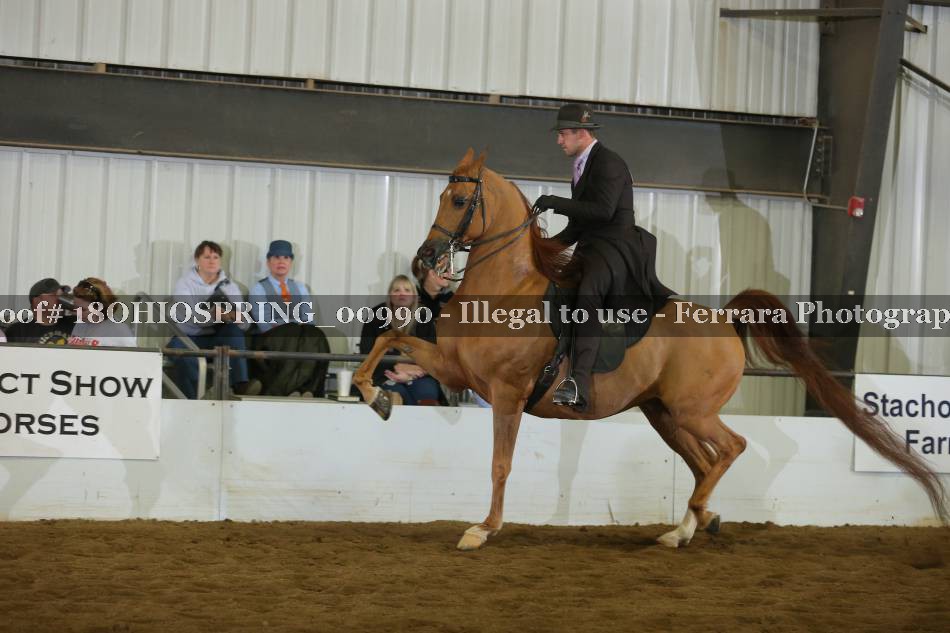 Proof 18OHIOSPRING_00990