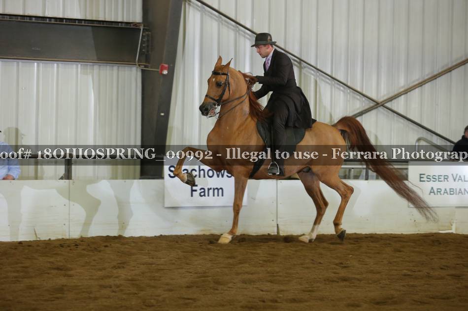 Proof 18OHIOSPRING_00992