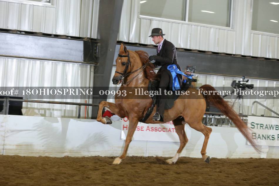 Proof 18OHIOSPRING_00993