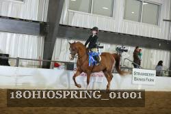 18OHIOSPRING_01001 proof