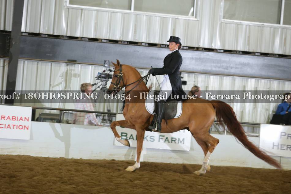 Proof 18OHIOSPRING_01054