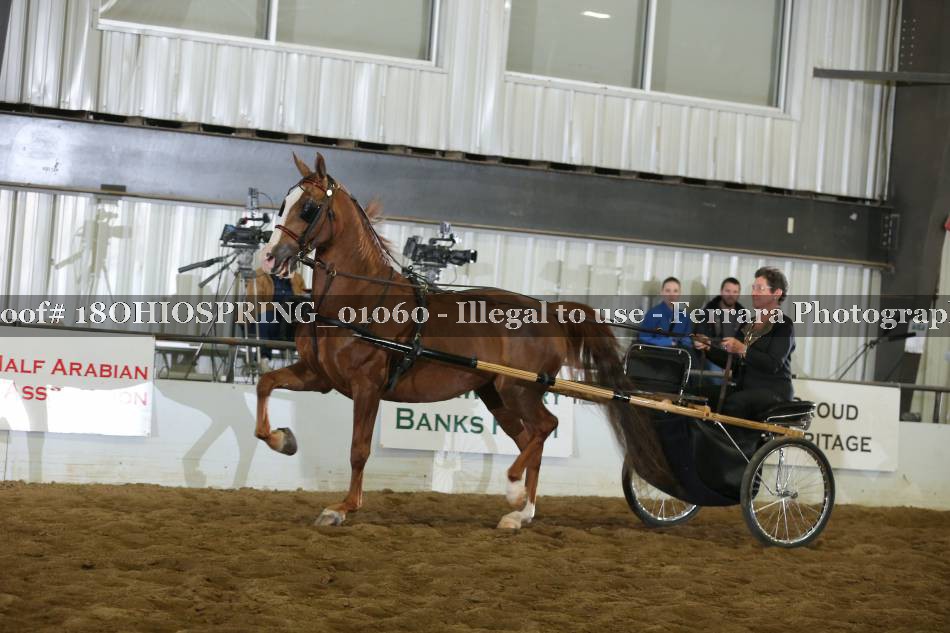 Proof 18OHIOSPRING_01060