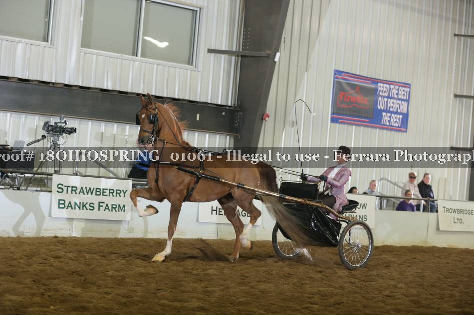 Proof 18OHIOSPRING_01061