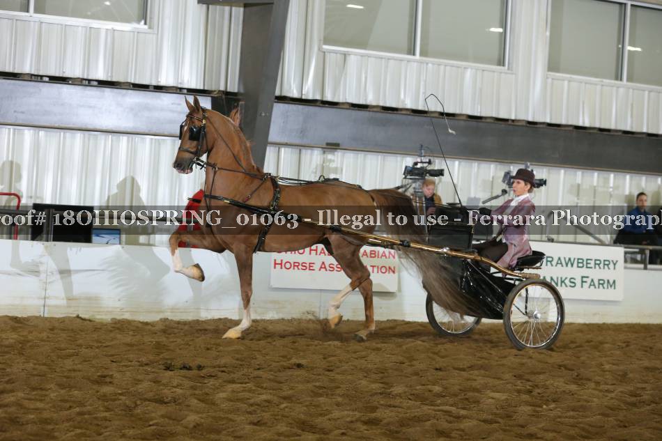 Proof 18OHIOSPRING_01063