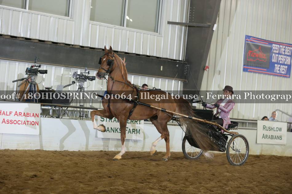 Proof 18OHIOSPRING_01064