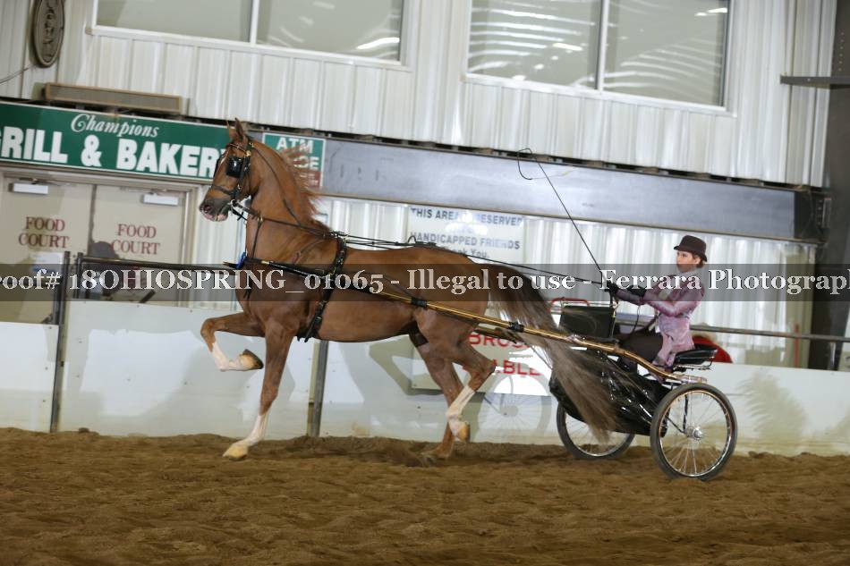 Proof 18OHIOSPRING_01065