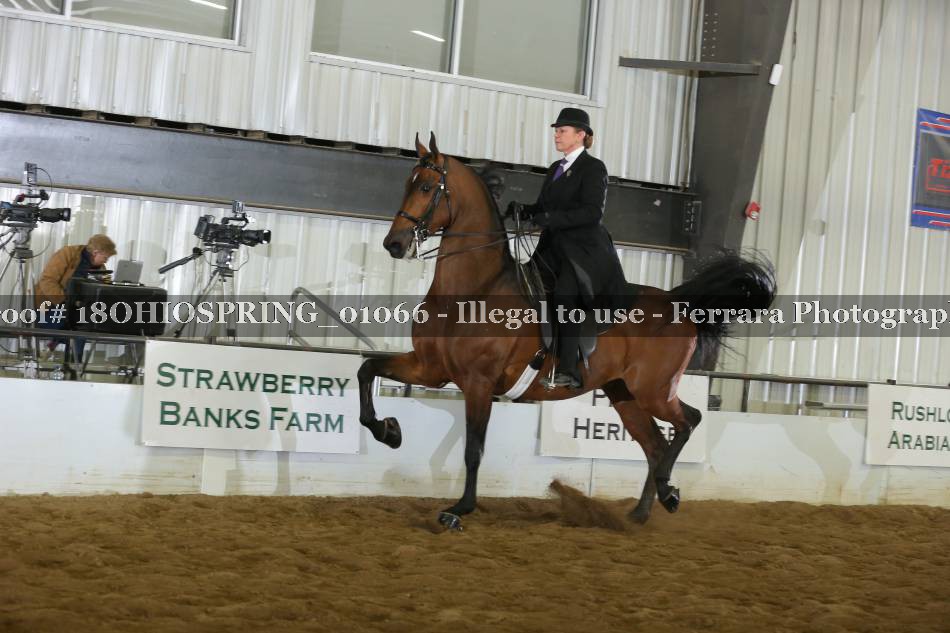 Proof 18OHIOSPRING_01066