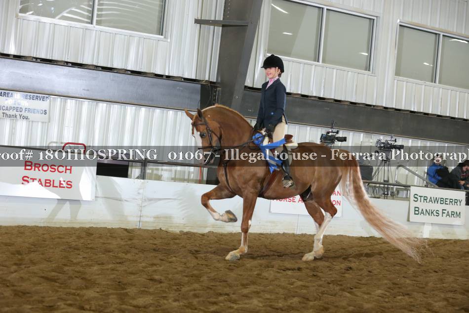 Proof 18OHIOSPRING_01067
