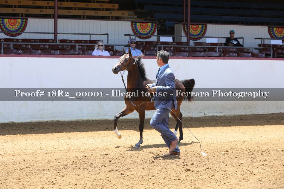 Proof 18R2_00001