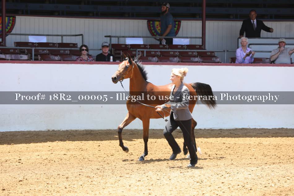 Proof 18R2_00005