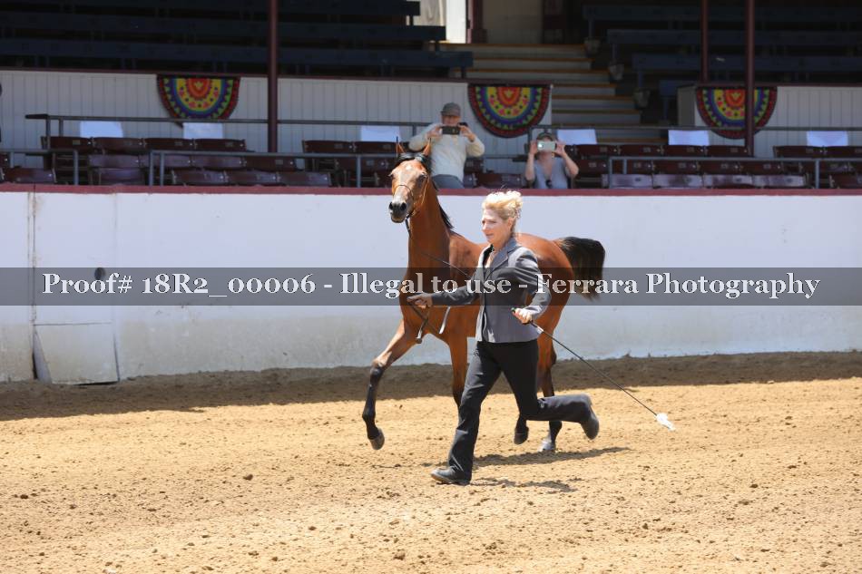 Proof 18R2_00006
