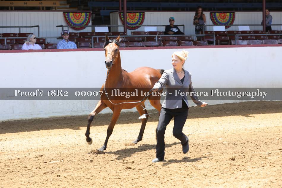 Proof 18R2_00007