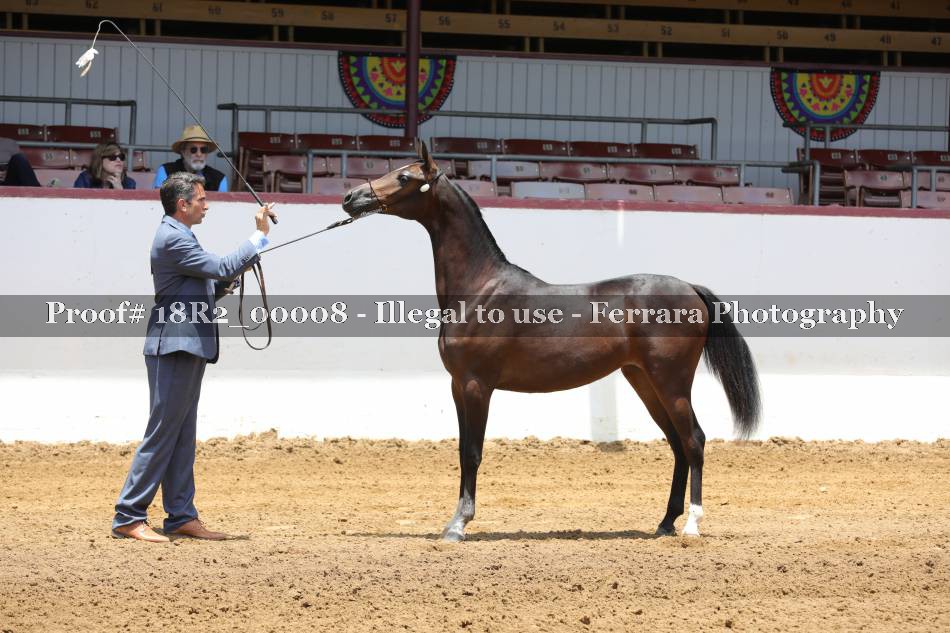 Proof 18R2_00008