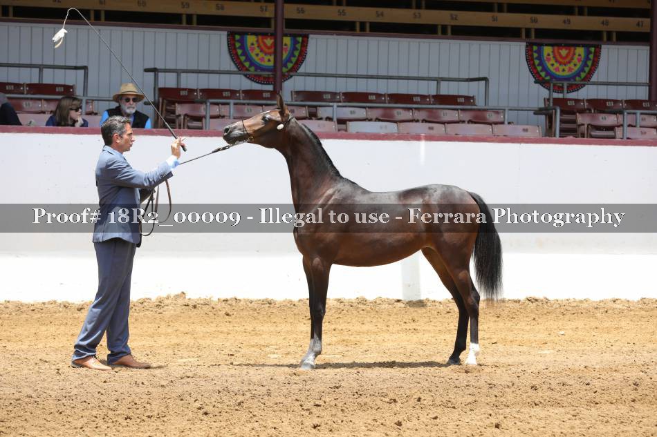Proof 18R2_00009