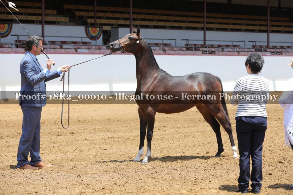 Proof 18R2_00010
