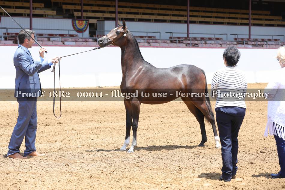 Proof 18R2_00011