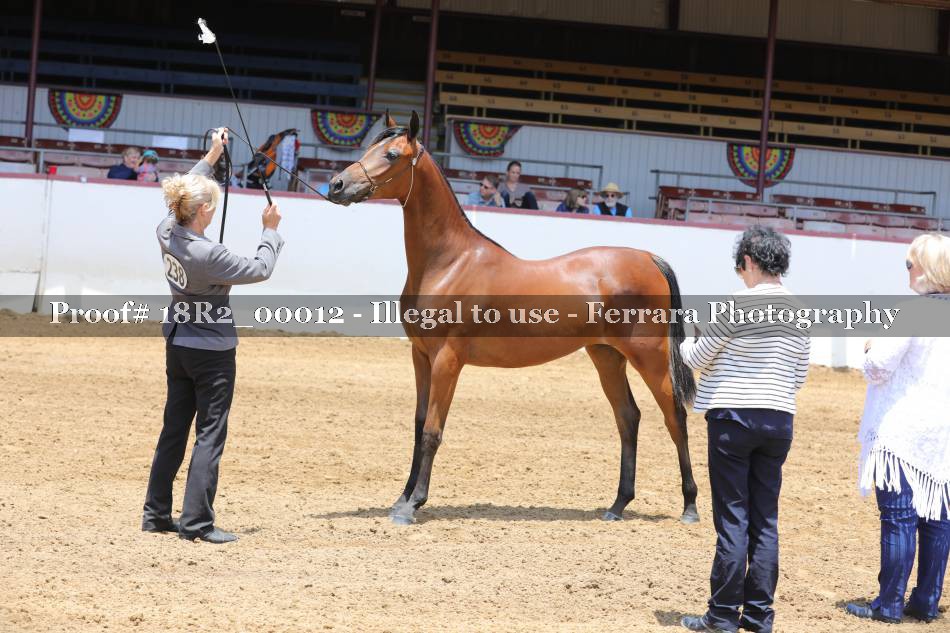 Proof 18R2_00012
