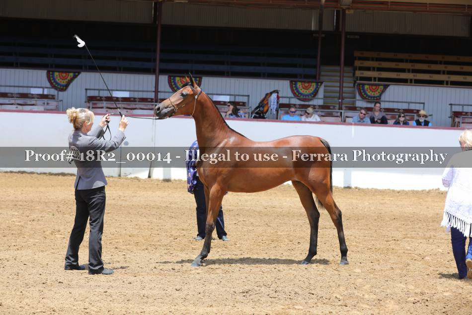 Proof 18R2_00014