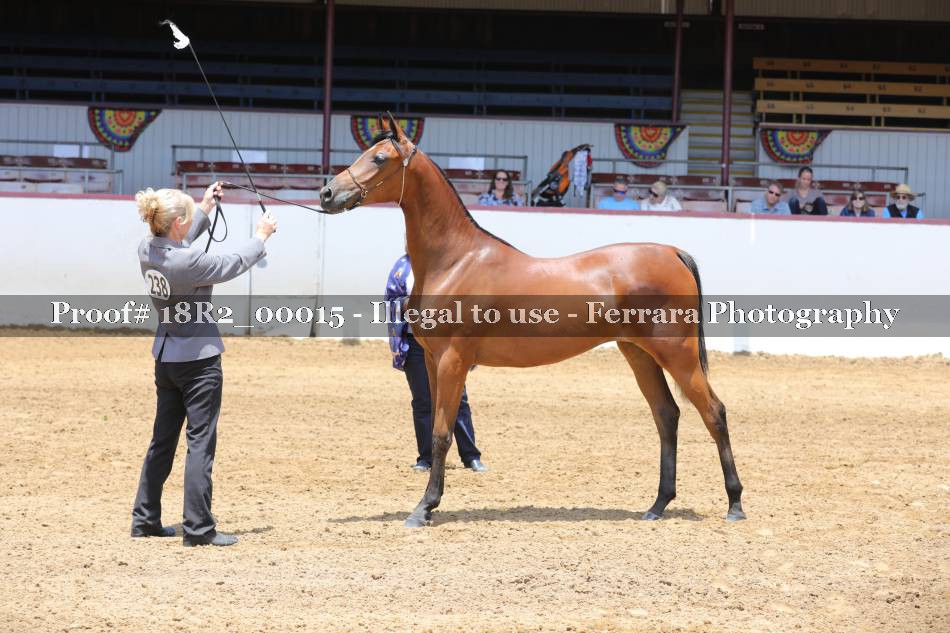 Proof 18R2_00015