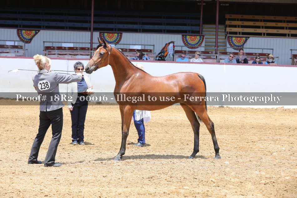 Proof 18R2_00016