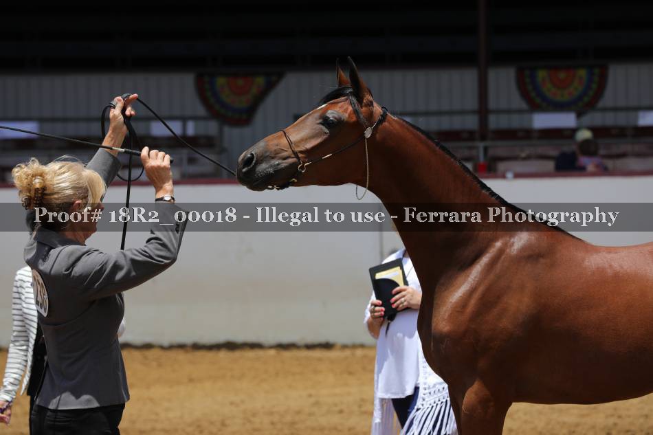 Proof 18R2_00018