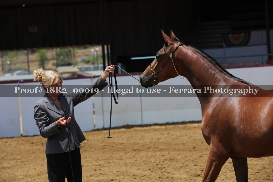Proof 18R2_00019