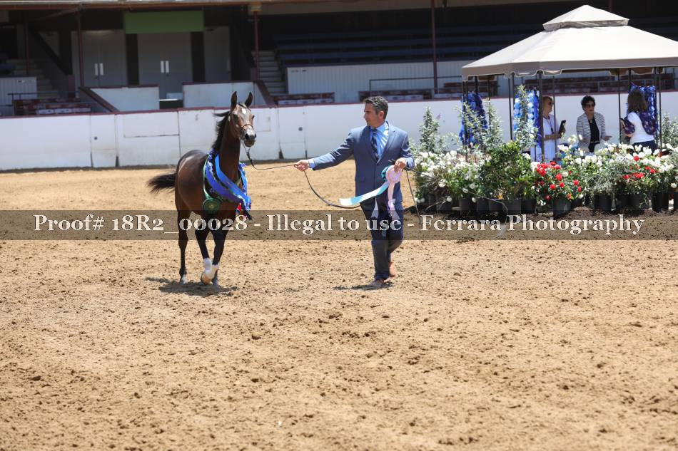 Proof 18R2_00028