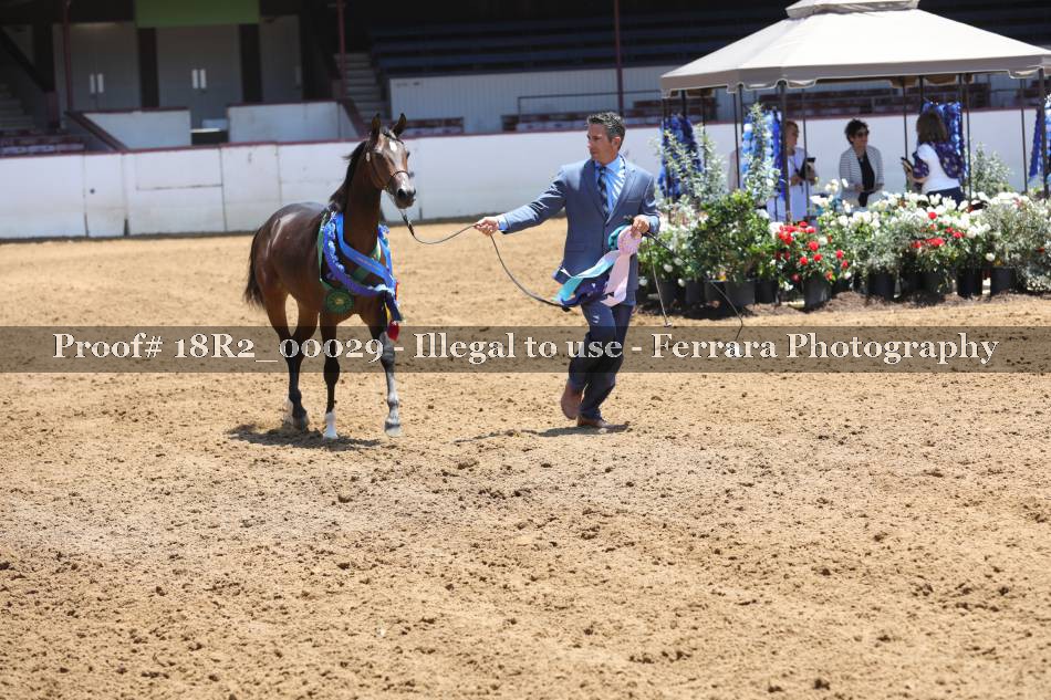Proof 18R2_00029
