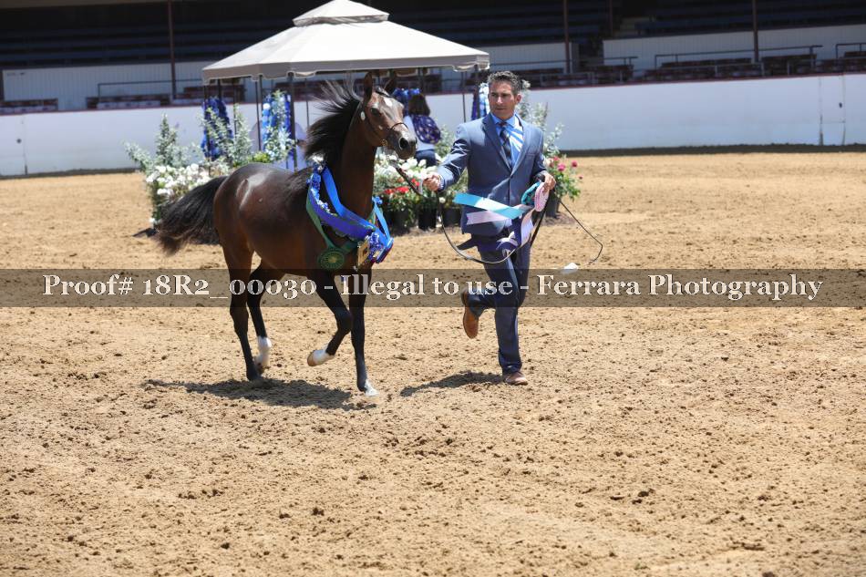 Proof 18R2_00030