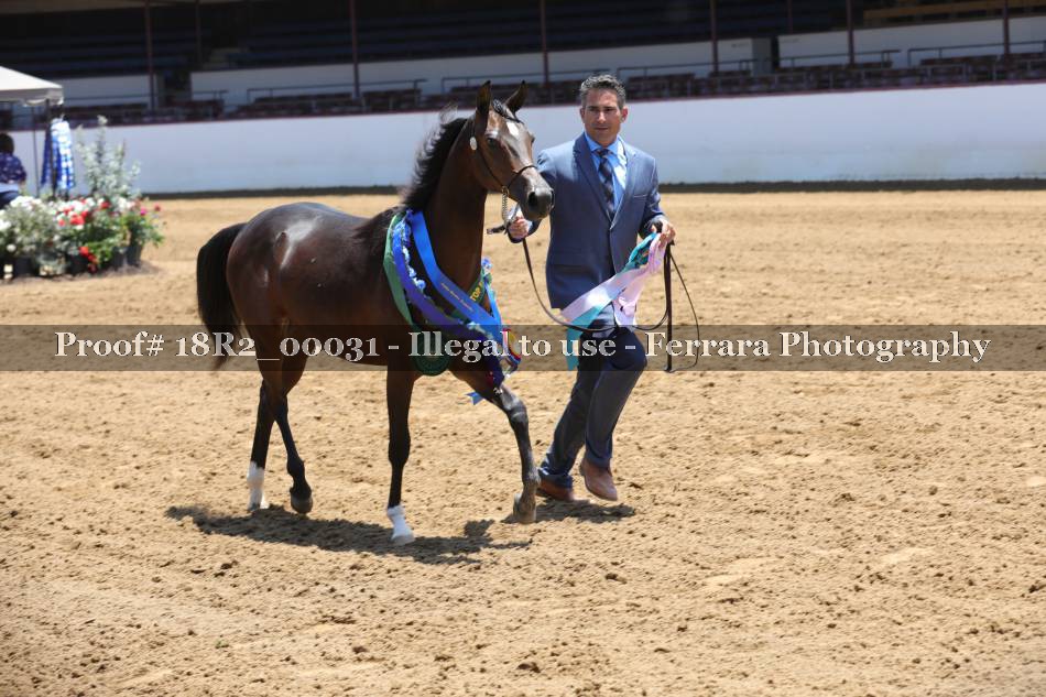 Proof 18R2_00031