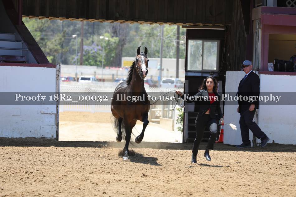 Proof 18R2_00032