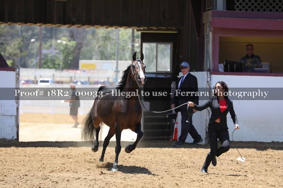 Proof 18R2_00033