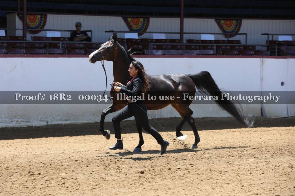 Proof 18R2_00034
