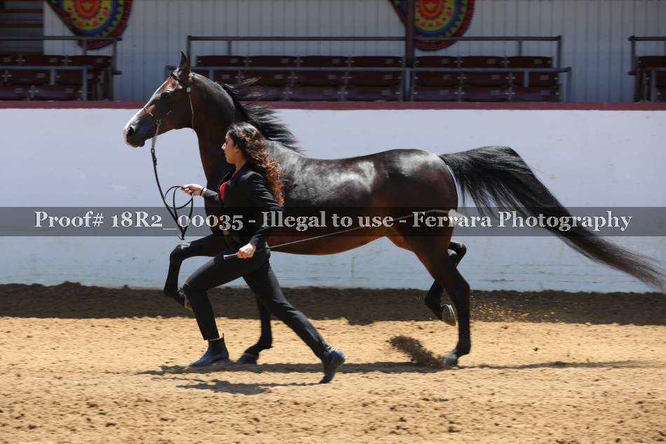 Proof 18R2_00035